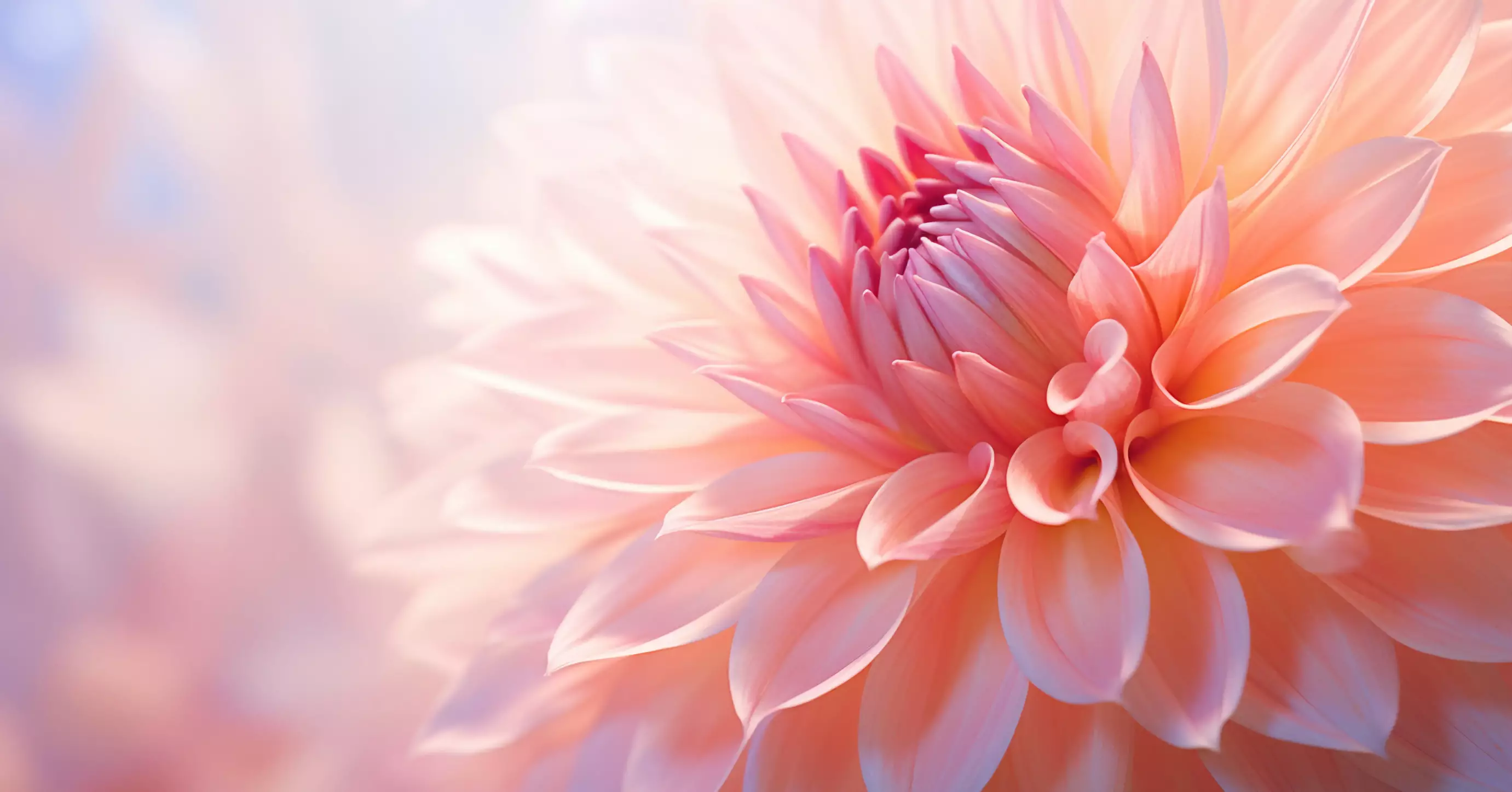 <b>Lieux de sépulture </b>